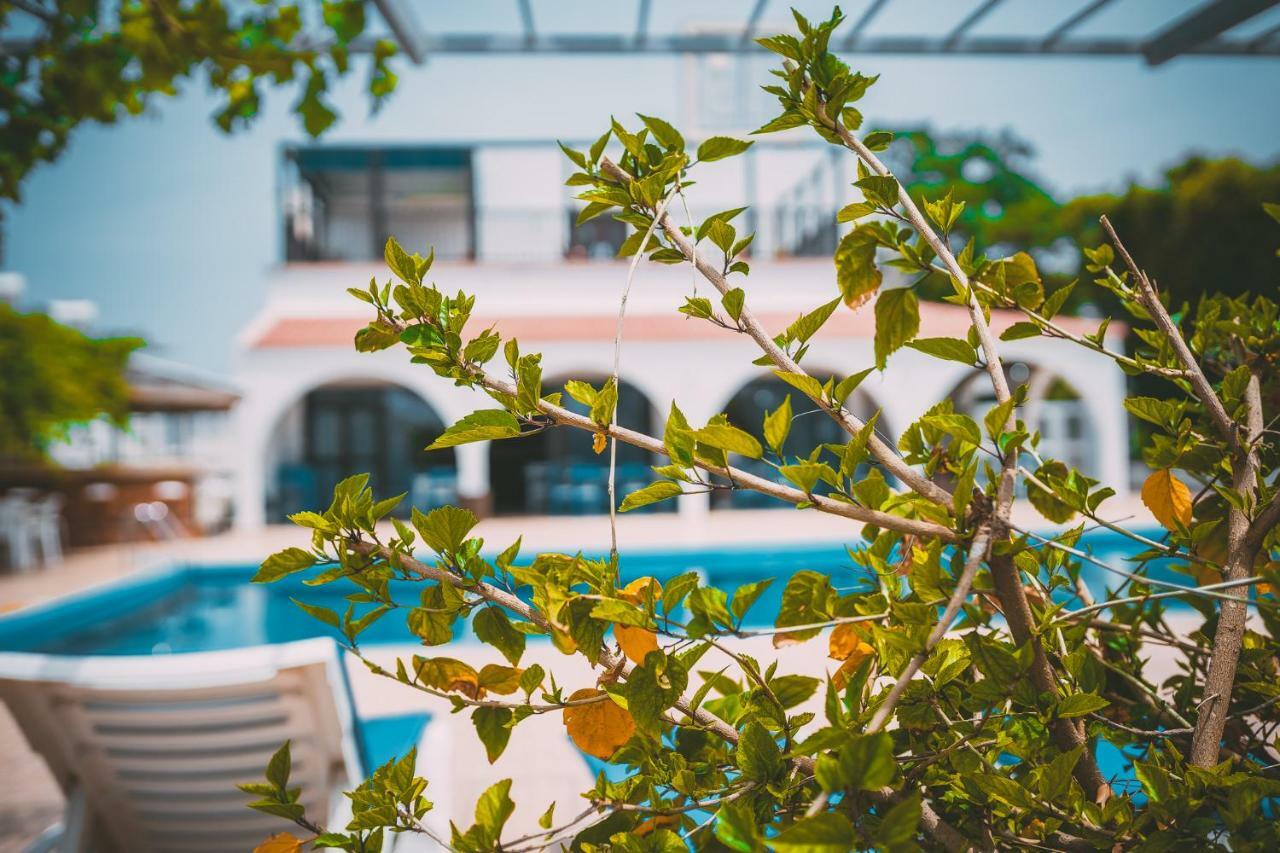 Chrysland Apartment Ayia Napa Luaran gambar